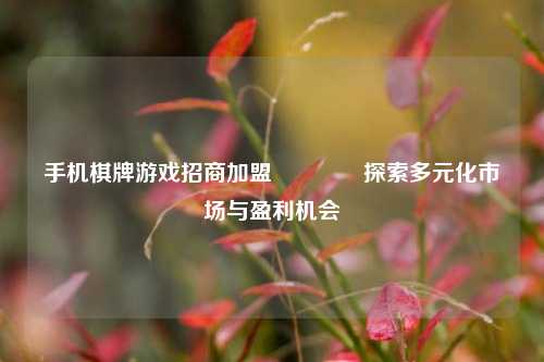 手机棋牌游戏招商加盟🏆探索多元化市场与盈利机会