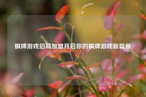 棋牌游戏招商加盟开启你的棋牌游戏新篇章
