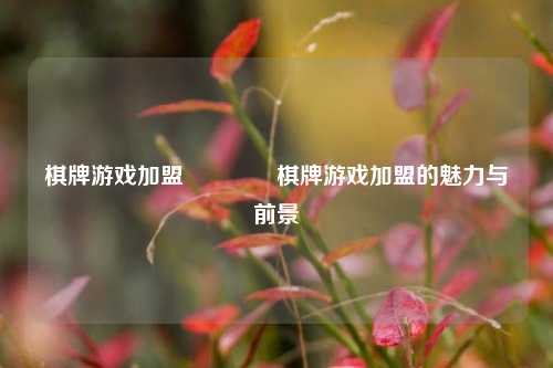 棋牌游戏加盟🥈棋牌游戏加盟的魅力与前景