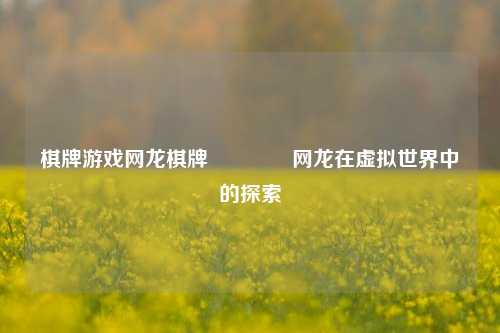 棋牌游戏网龙棋牌🥈网龙在虚拟世界中的探索