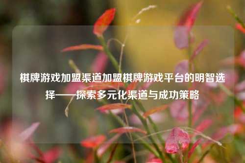 棋牌游戏加盟渠道加盟棋牌游戏平台的明智选择——探索多元化渠道与成功策略
