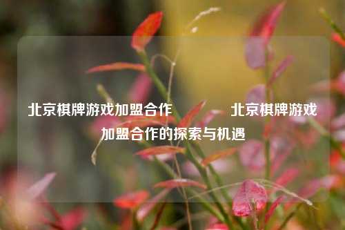 北京棋牌游戏加盟合作👈北京棋牌游戏加盟合作的探索与机遇
