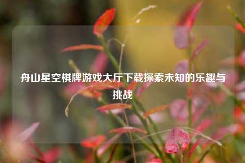 舟山星空棋牌游戏大厅下载探索未知的乐趣与挑战