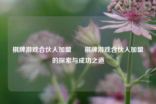 棋牌游戏合伙人加盟♦️棋牌游戏合伙人加盟的探索与成功之道