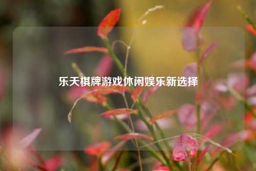 乐天棋牌游戏休闲娱乐新选择