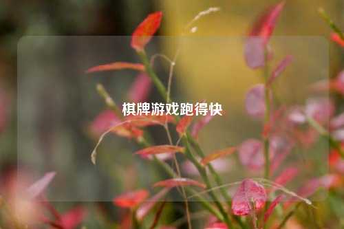 棋牌游戏跑得快