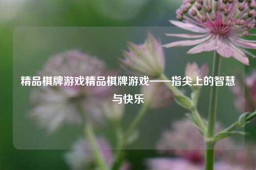 精品棋牌游戏精品棋牌游戏——指尖上的智慧与快乐