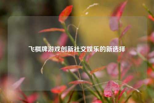 飞棋牌游戏创新社交娱乐的新选择