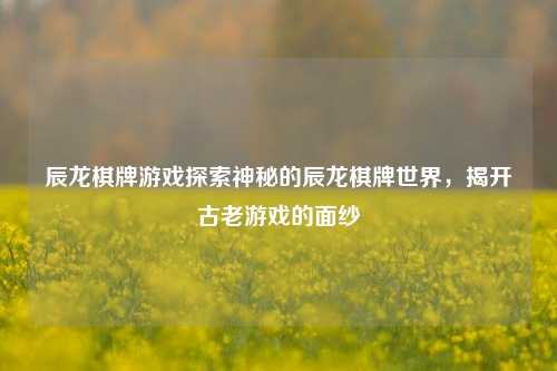 辰龙棋牌游戏探索神秘的辰龙棋牌世界，揭开古老游戏的面纱