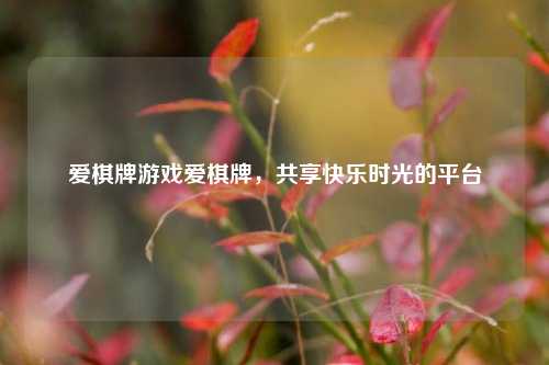 爱棋牌游戏爱棋牌，共享快乐时光的平台
