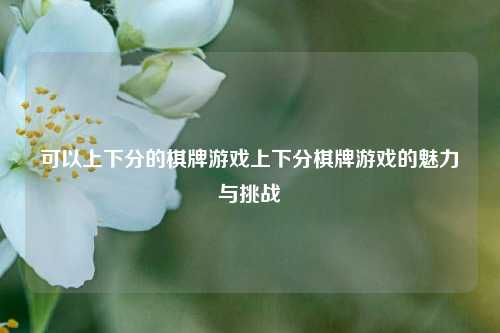 可以上下分的棋牌游戏上下分棋牌游戏的魅力与挑战