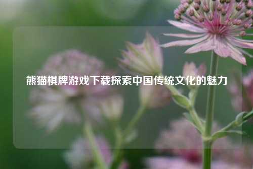 熊猫棋牌游戏下载探索中国传统文化的魅力