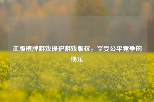 正版棋牌游戏保护游戏版权，享受公平竞争的快乐
