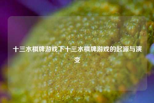 十三水棋牌游戏下十三水棋牌游戏的起源与演变