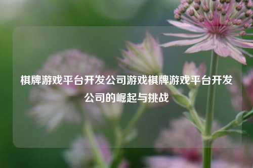棋牌游戏平台开发公司游戏棋牌游戏平台开发公司的崛起与挑战