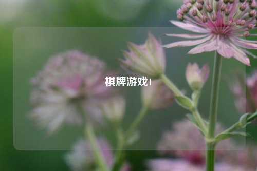 棋牌游戏1