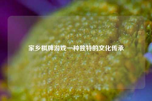 家乡棋牌游戏一种独特的文化传承
