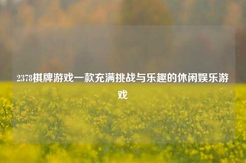 2378棋牌游戏一款充满挑战与乐趣的休闲娱乐游戏