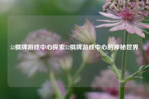 52棋牌游戏中心探索52棋牌游戏中心的神秘世界