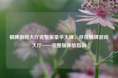棋牌游戏大厅完整版豪华大牌，尽在棋牌游戏大厅——完整版体验指南