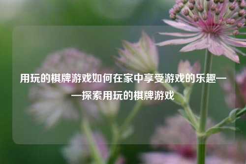 用玩的棋牌游戏如何在家中享受游戏的乐趣——探索用玩的棋牌游戏