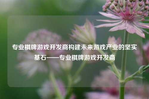 专业棋牌游戏开发商构建未来游戏产业的坚实基石——专业棋牌游戏开发商