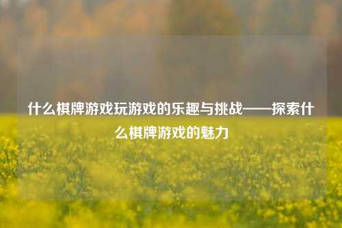 什么棋牌游戏玩游戏的乐趣与挑战——探索什么棋牌游戏的魅力