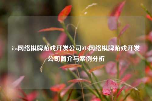 ios网络棋牌游戏开发公司iOS网络棋牌游戏开发公司简介与案例分析