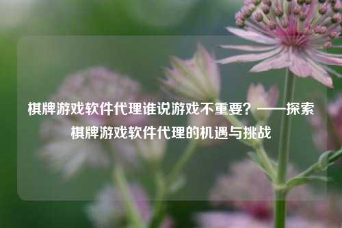 棋牌游戏软件代理谁说游戏不重要？——探索棋牌游戏软件代理的机遇与挑战