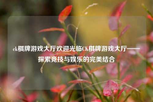 ck棋牌游戏大厅欢迎光临CK棋牌游戏大厅——探索竞技与娱乐的完美结合