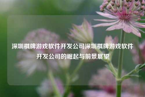 深圳棋牌游戏软件开发公司深圳棋牌游戏软件开发公司的崛起与前景展望