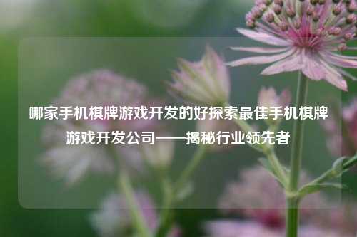 哪家手机棋牌游戏开发的好探索最佳手机棋牌游戏开发公司——揭秘行业领先者