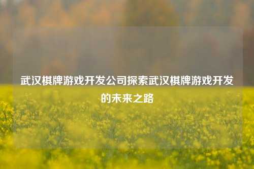 武汉棋牌游戏开发公司探索武汉棋牌游戏开发的未来之路