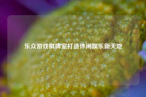 乐众游戏棋牌室打造休闲娱乐新天地