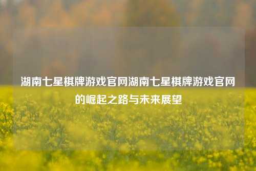 湖南七星棋牌游戏官网湖南七星棋牌游戏官网的崛起之路与未来展望
