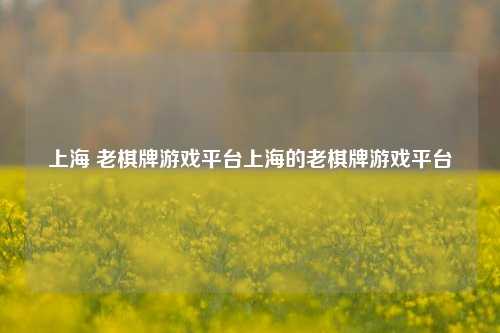 上海 老棋牌游戏平台上海的老棋牌游戏平台