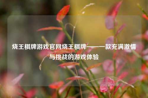 烧王棋牌游戏官网烧王棋牌——一款充满激情与挑战的游戏体验