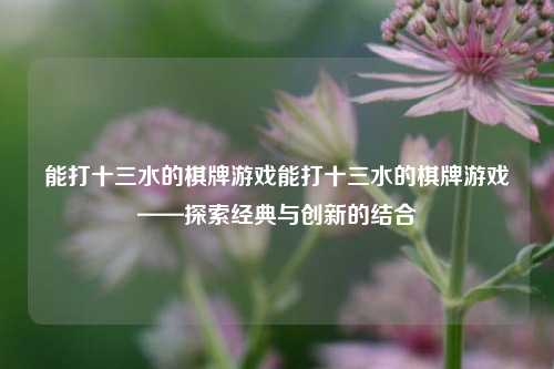 能打十三水的棋牌游戏能打十三水的棋牌游戏——探索经典与创新的结合