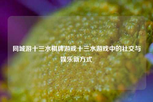 同城游十三水棋牌游戏十三水游戏中的社交与娱乐新方式