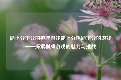 能上分下分的棋牌游戏能上分也能下分的游戏——探索棋牌游戏的魅力与挑战