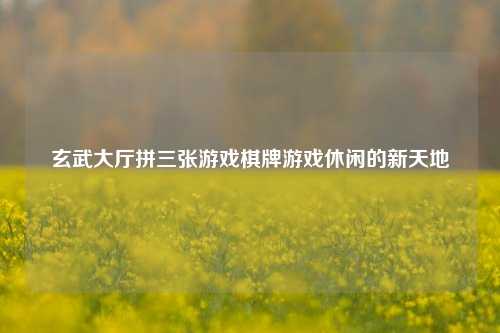 玄武大厅拼三张游戏棋牌游戏休闲的新天地