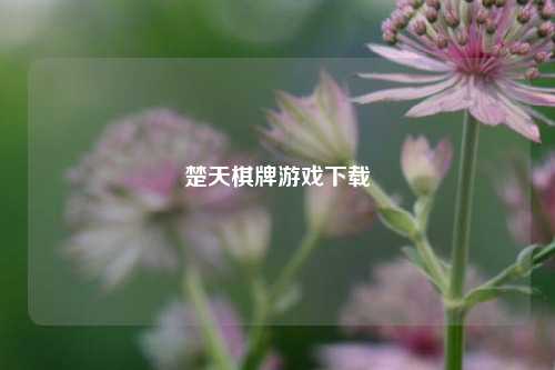 楚天棋牌游戏下载