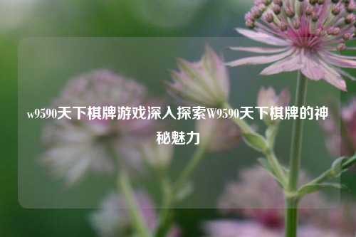 w9590天下棋牌游戏深入探索W9590天下棋牌的神秘魅力