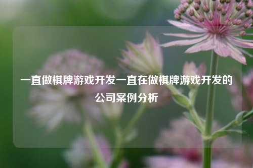 一直做棋牌游戏开发一直在做棋牌游戏开发的公司案例分析