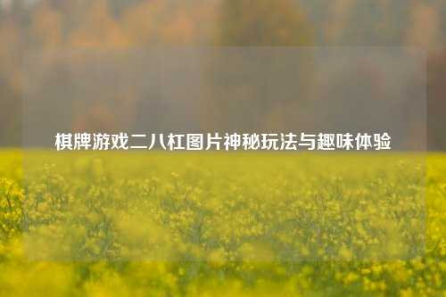 棋牌游戏二八杠图片神秘玩法与趣味体验