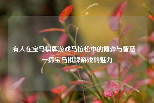有人在宝马棋牌游戏马拉松中的博弈与智慧 - 一探宝马棋牌游戏的魅力