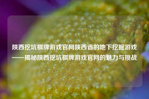 陕西挖坑棋牌游戏官网陕西省的地下挖掘游戏——揭秘陕西挖坑棋牌游戏官网的魅力与挑战
