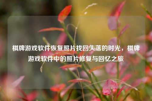 棋牌游戏软件恢复照片找回失落的时光，棋牌游戏软件中的照片修复与回忆之旅