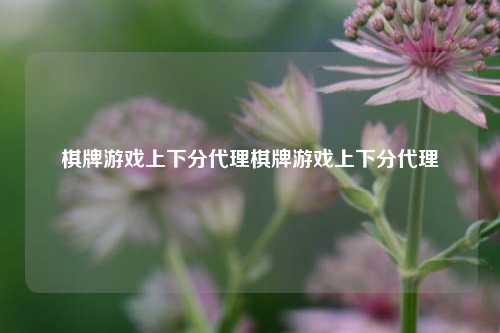 棋牌游戏上下分代理棋牌游戏上下分代理