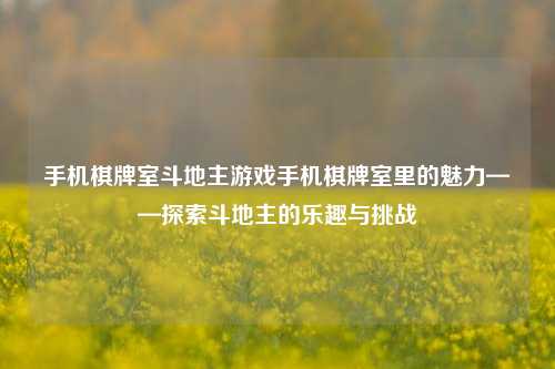 手机棋牌室斗地主游戏手机棋牌室里的魅力——探索斗地主的乐趣与挑战